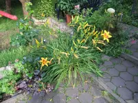002.webp