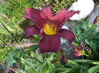 009.webp