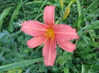 014.webp
