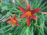 015.webp