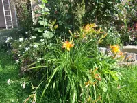 005.webp