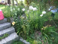 010.webp