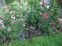 013.webp