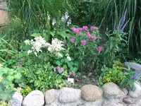 016.webp