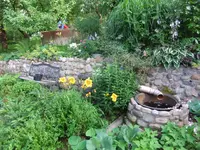 018.webp