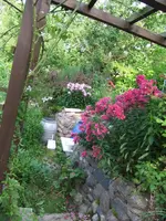 022.webp