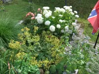 027.webp