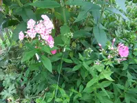 020.webp