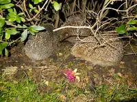 DSCF9054.webp