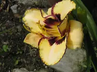 fragezeichen_1067x800.JPG