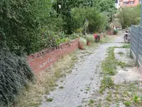 Gartenmauer (1).webp