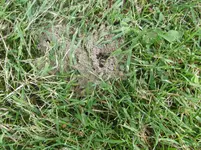 CIMG1157.webp
