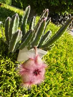 012 (2).webp