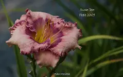 IMG_3244.jpg