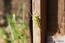 comp_DSC04307.webp