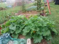 IMG_0474[1].webp