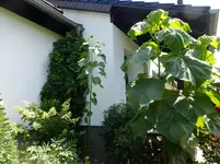 DSCF9194.webp