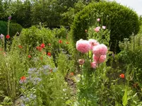 013.webp