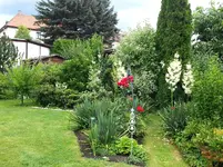 2015-07-25        Ob die Hohen nach dem Sturm noch stehen.webp