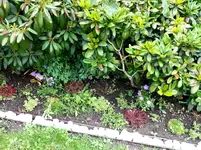 2015-07-25    Front vor den Rhodos.webp