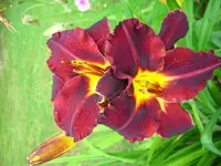 k-DSCI3666.webp