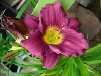 k-DSCI3667.webp