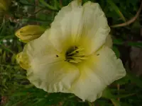 k-DSCI3668.webp