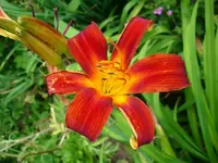 k-DSCI3669.webp