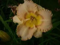 k-DSCI3670.JPG