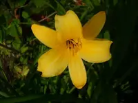 k-DSCI3672.webp