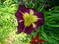 k-DSCI3674.webp