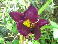 k-DSCI3676.webp