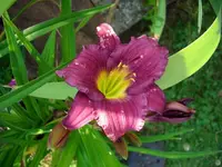 k-DSCI3677.webp