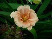 k-DSCI3679.webp