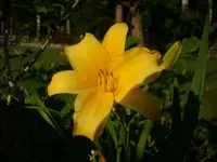 k-DSCI3683.webp