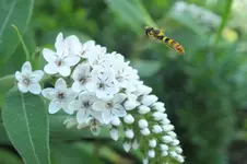 DSCF2343.webp