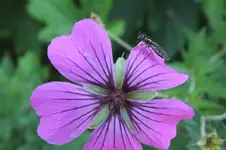 DSCF2344.webp
