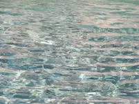 100_6700.webp