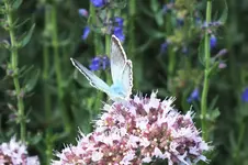DSCF2372 (2).webp