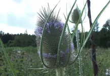 DSCF2356 (2).webp