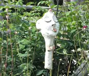 DSCF2345 (2).webp