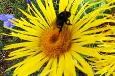 DSCF2409 (2).webp