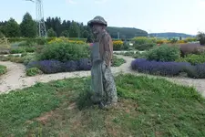 DSCF2421.webp