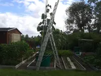 20150726_100247.webp