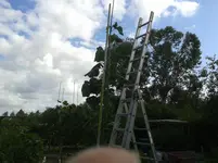 20150726_100236.webp