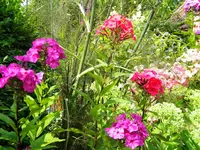 DSCN9680.webp