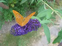 020.webp