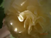 P7260870.webp
