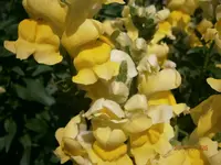 P7260872.webp