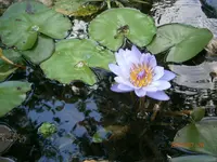 P7260880.webp